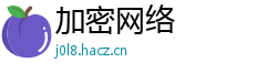 加密网络