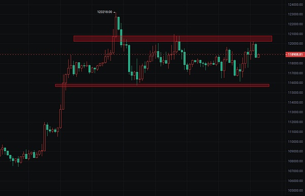 CoinW闪耀台北区块链周：一场不容错过的行业盛会