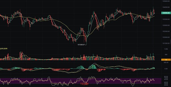 Robinhood Bot：一个让加密交易变得轻松有趣的小帮手