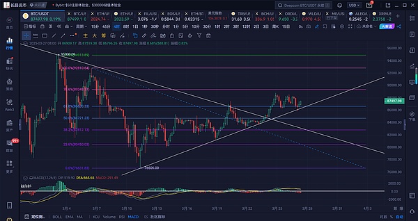 熊市淘金：专业机构如何挖掘下一个百倍奇迹
