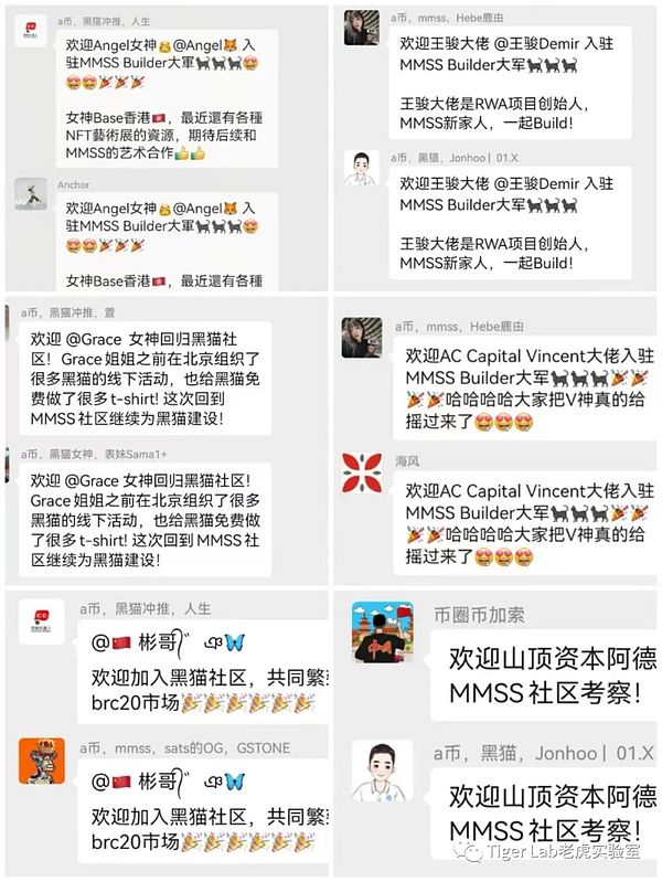 美联储准掌门鲍曼的野心与焦虑：一个监管者的两难抉择