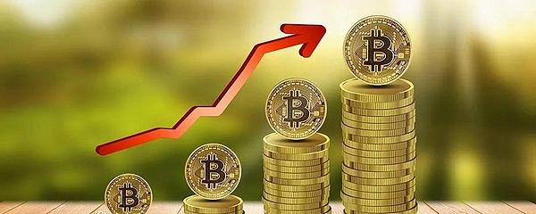 在虚拟世界活出自己的精彩：一个数字艺术家的元宇宙成长记