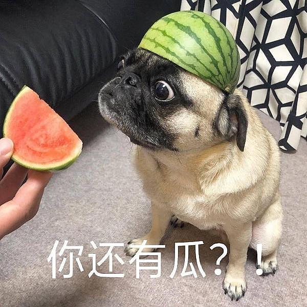 变基代币：加密世界的变形金刚，真的靠谱吗？